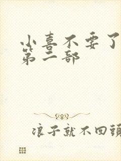 小喜不要了好大第二部封面