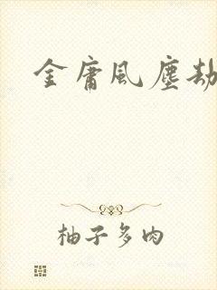 金庸风尘劫封面
