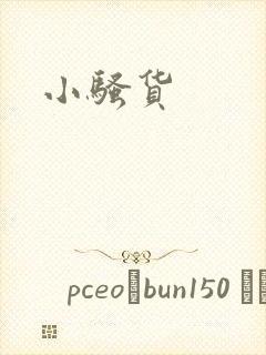 小骚货封面
