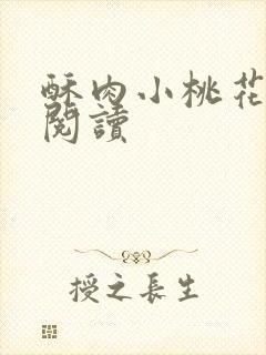 酥肉小桃花全文阅读