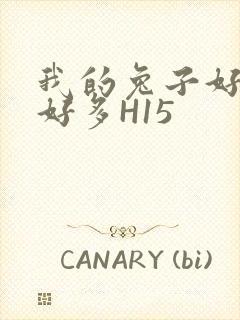 我的兔子好软水好多H15