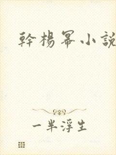 干杨幂小说