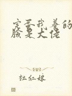 完蛋我养的小白脸是大佬
