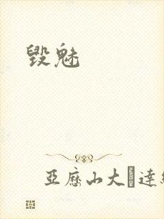 毁魅封面