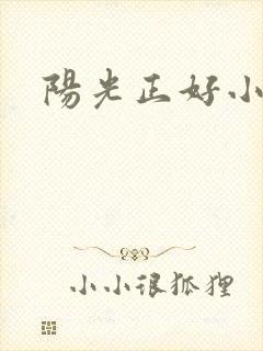 阳光正好小说
