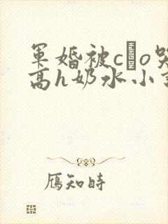 军婚被cαo哭高h奶水小说封面
