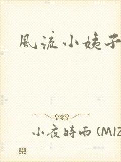 风流小姨子封面
