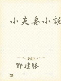 小夫妻小说
