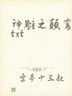 神雕之颠鸾倒凤txt