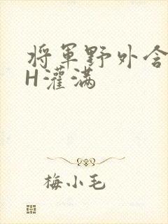 将军野外含公主H灌满
