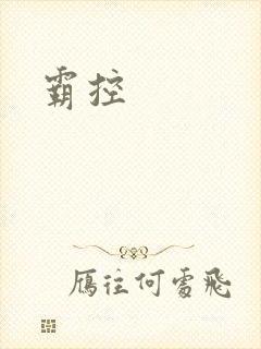 霸控