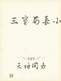三宝局长小说