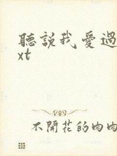 听说我爱过你txt