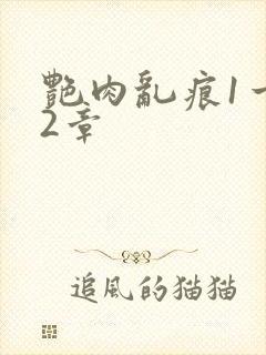 艳肉乱痕1一12章