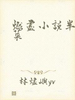 燃尽小说半截白菜