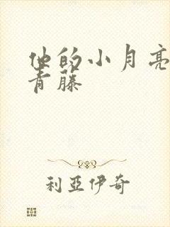 他的小月亮by青藤封面