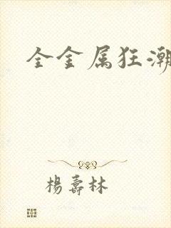 全金属狂潮小说