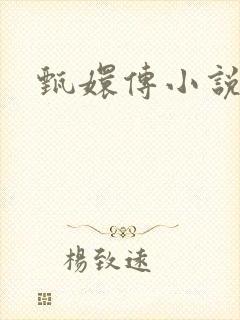 甄嬛传小说