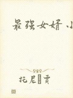 最强女婿 小说封面