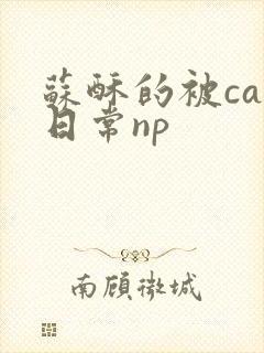 苏酥的被cao日常np封面