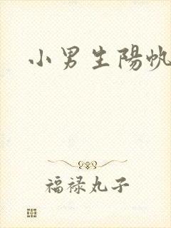 小男生阳帆