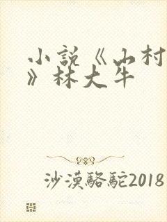小说《山村情事》林大牛