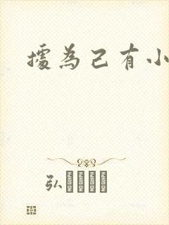 据为己有小说