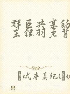 群臣共享的小公主银羽免背刺