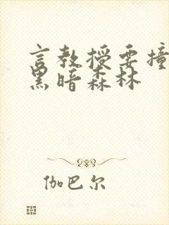言教授要撞坏了黑暗森林封面