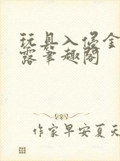 玩具入侵金银花露笔趣阁