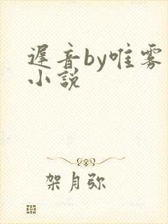 迟音by唯雾的小说封面