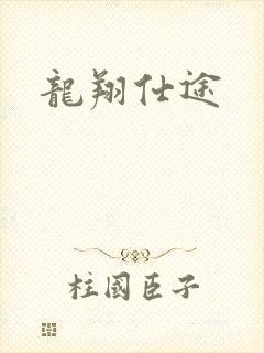 龙翔仕途