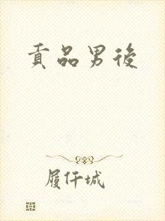 贡品男后