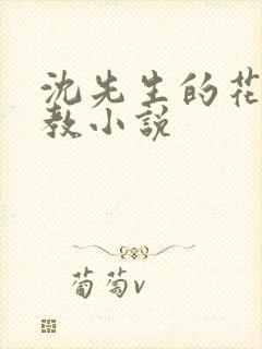 沈先生的花式管教小说