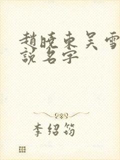 赵晓东吴雪晴小说名字