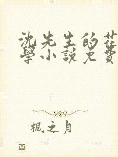 沈先生的花式教学小说免费封面
