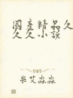 国产精品久久久久久小说