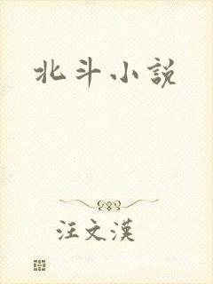 北斗小说
