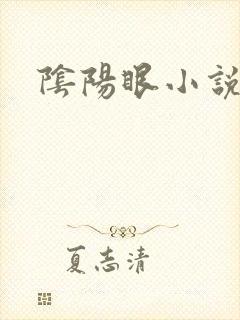 阴阳眼小说