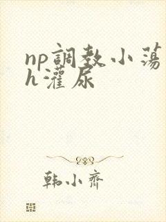 np调教小荡货h灌尿