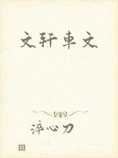 文轩车文