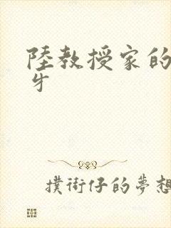 陆教授家的小月牙封面