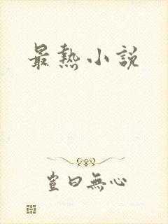 最热小说