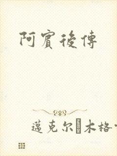 阿宾后传