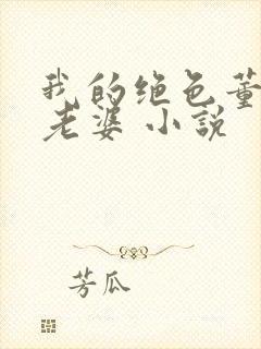 我的绝色董事长老婆 小说