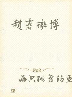 赵霁微博封面