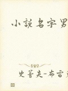 小说名字男生