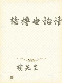 樯橹也怡情封面