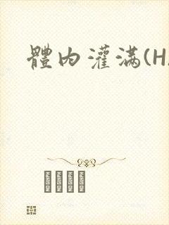体内灌满(H)封面