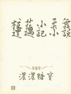 校花小柔舞蹈室遭遇记小说